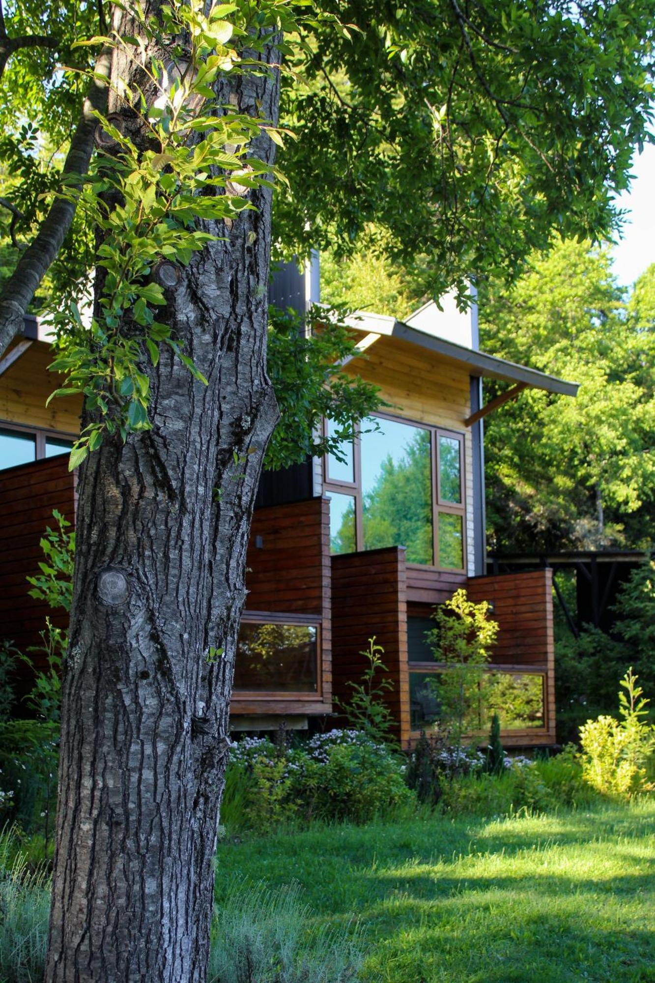 Ni-Newen Hotel & Lodge Pucón Dış mekan fotoğraf