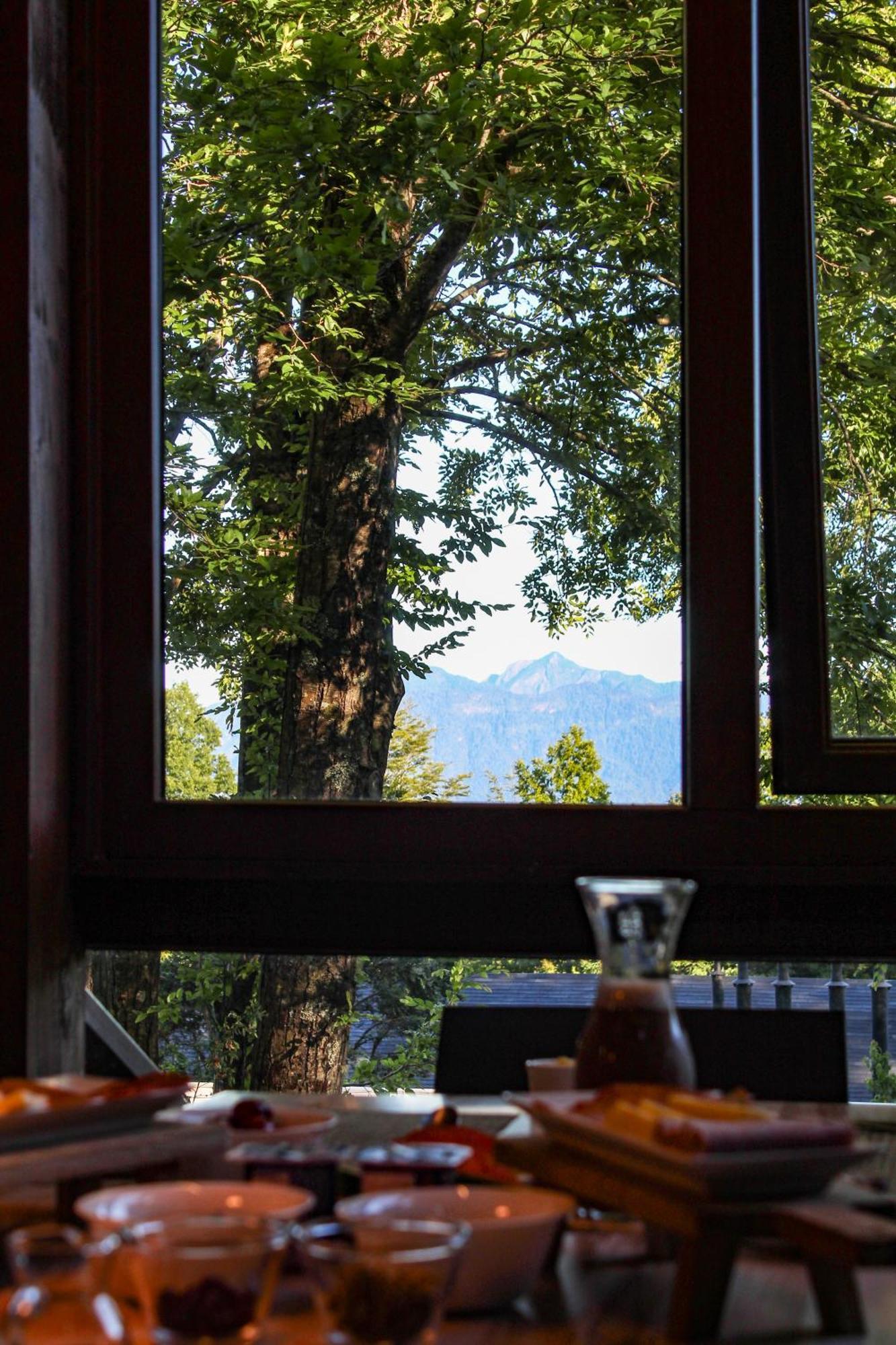 Ni-Newen Hotel & Lodge Pucón Dış mekan fotoğraf
